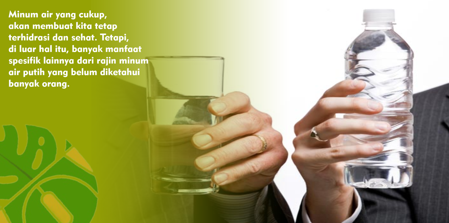 Manfaat Minum Air Putih Bagi Kesehatan dan Kecantikan Manfaat Minum Air Putih Bagi Kesehatan dan Kecantikan
